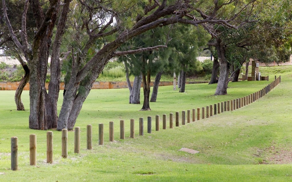 Treated Pine Bollards - Image 3