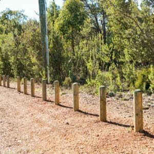 Pine Bollards